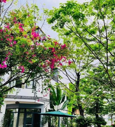 Haradise Suite Villa & Homestay Ha Long – Fotos 10